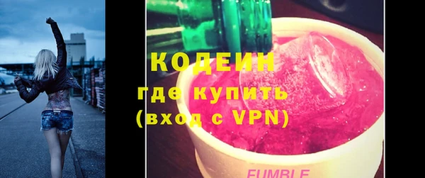 хмурый Алексин