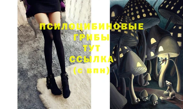стафф Алексеевка