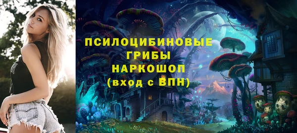 хмурый Алексин