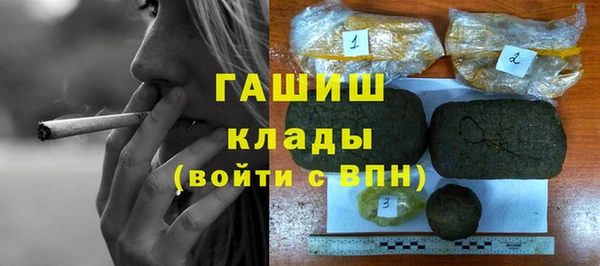 хмурый Алексин
