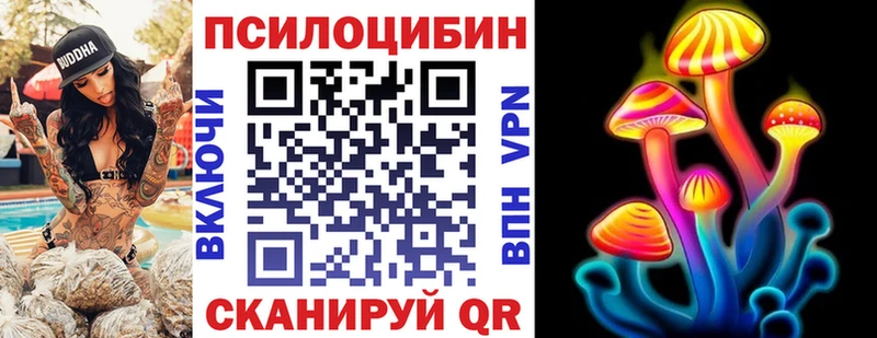 Купить где  Микунь  Галлюциногенные грибы Magic Shrooms 